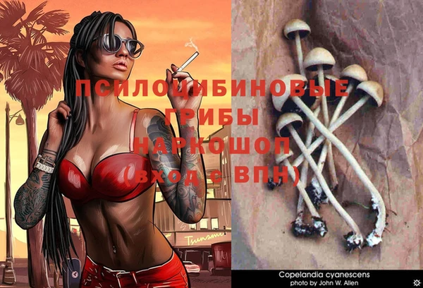 стафф Фурманов