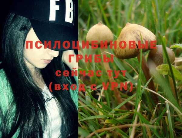 стафф Фурманов