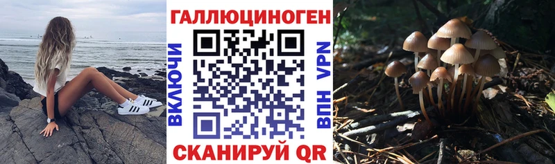 купить наркоту  Александровск-Сахалинский  Псилоцибиновые грибы GOLDEN TEACHER 