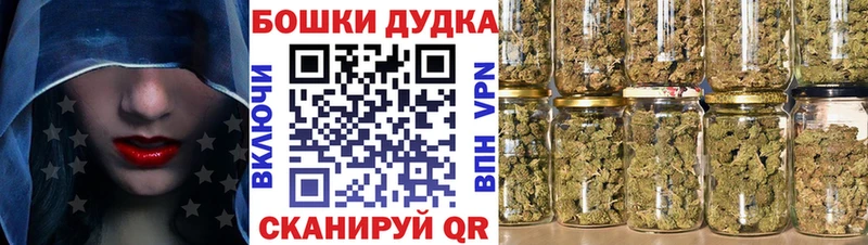сколько стоит  Александровск-Сахалинский  Канабис семена 